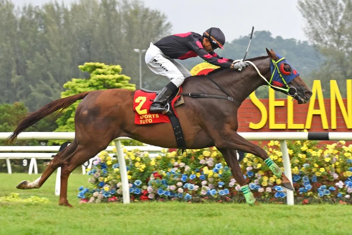 Golden Pegasus acerta o desafio