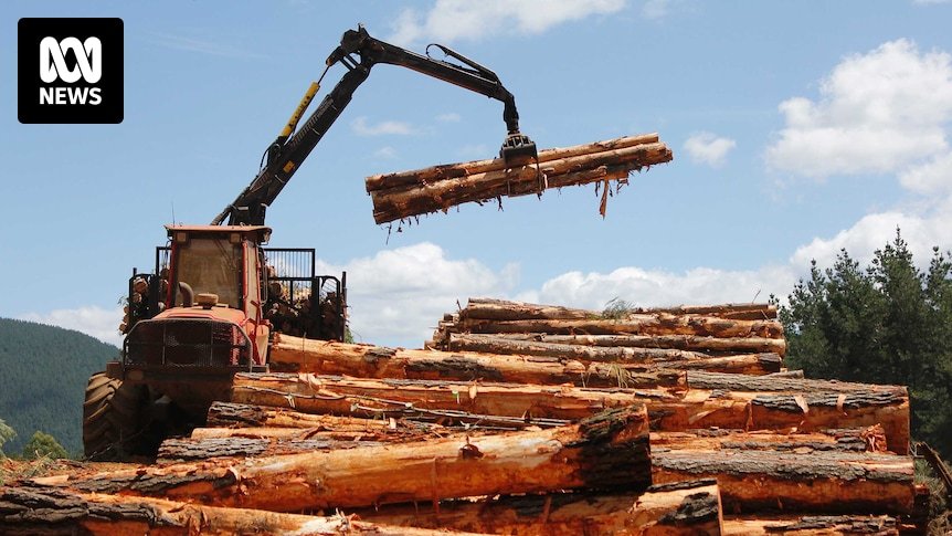 A Coalizão não apoiará a reforma ambiental sem mudanças