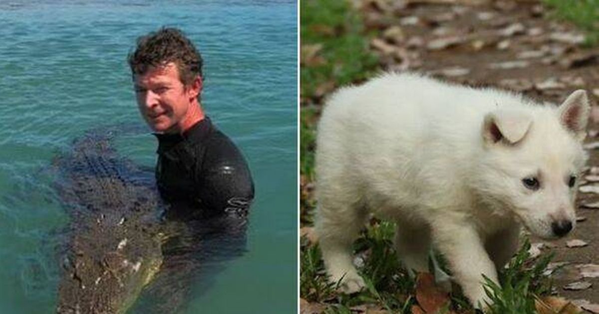 Esposa de zoólogo pervertido que estuprou cachorrinhos e os chamou de ‘brinquedos de merda’ quebra o silêncio