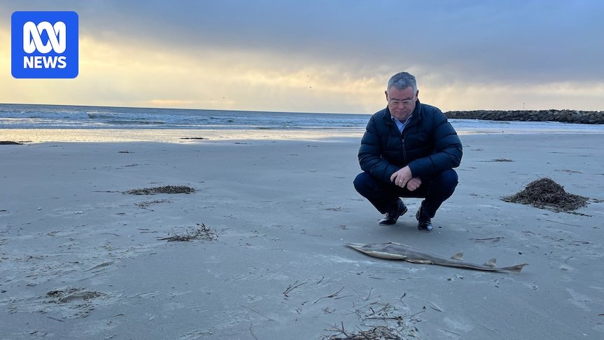 Novas leis ambientais poderão ajudar ou prejudicar a natureza, dependendo dos ministros.