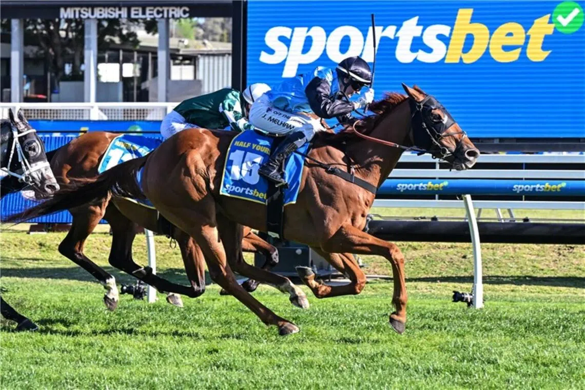 Half Yours tem tudo em Flemington.