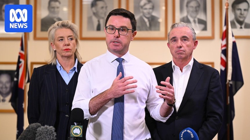 O Partido Nacional abandona o apoio líquido zero da plataforma do partido.