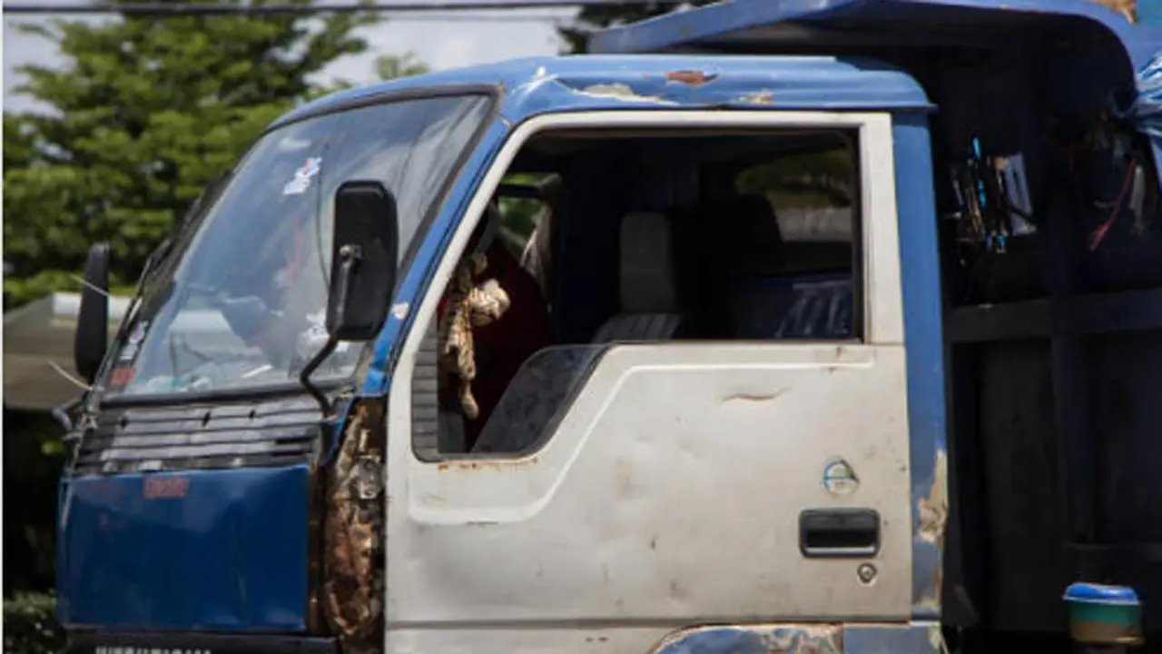 EUA: Motorista de caminhão de origem indiana estava sóbrio no local do acidente, mas foi preso por homicídio negligente