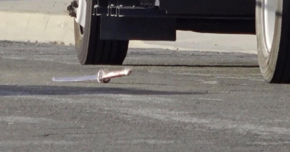 Assassino da espada da nora de ‘vampiro’ condenado a assassinato