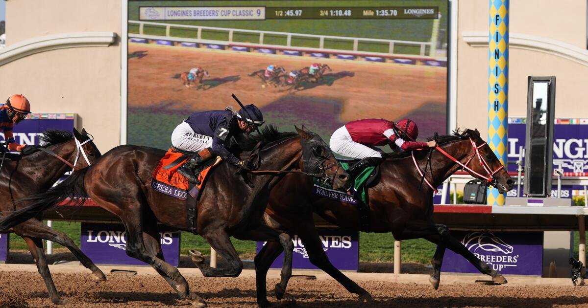 Forever Young vence Breeders’ Cup Classic sobre Serra Leoa