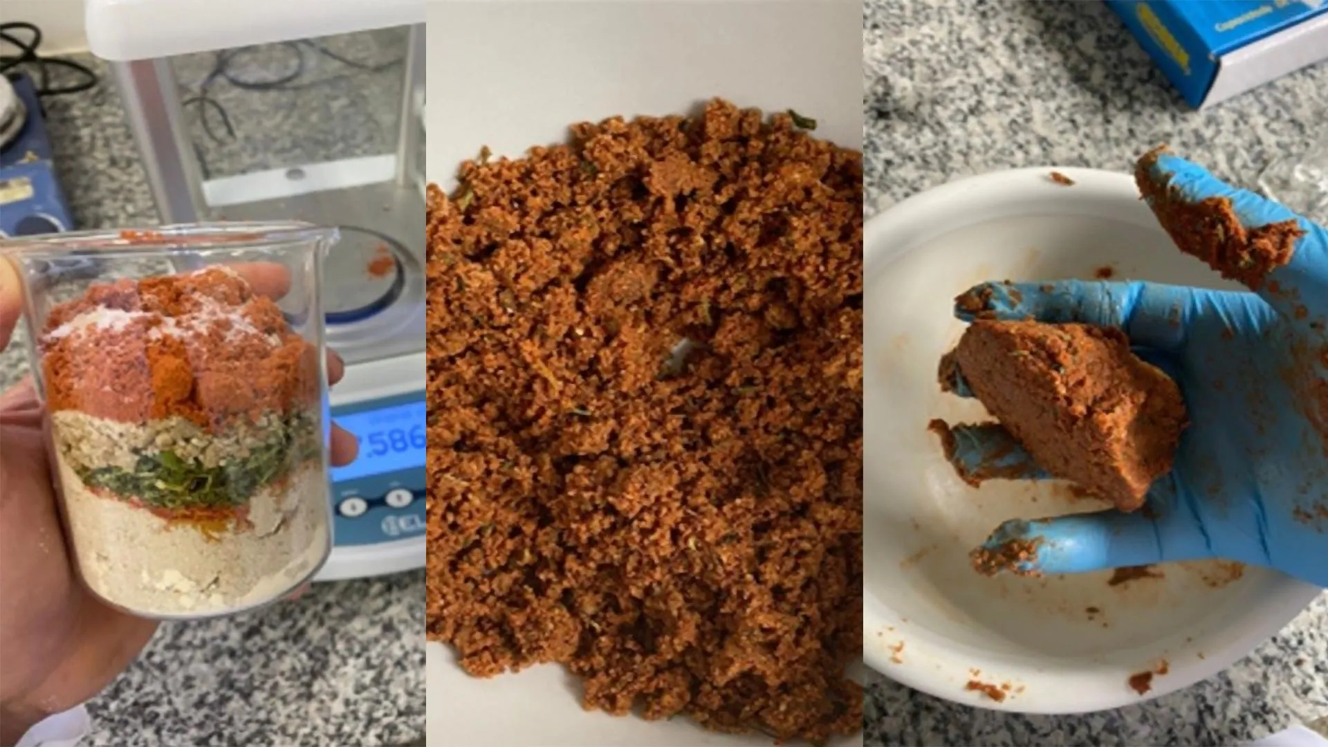 Os girassóis podem ser o futuro "Carne vegetariana"