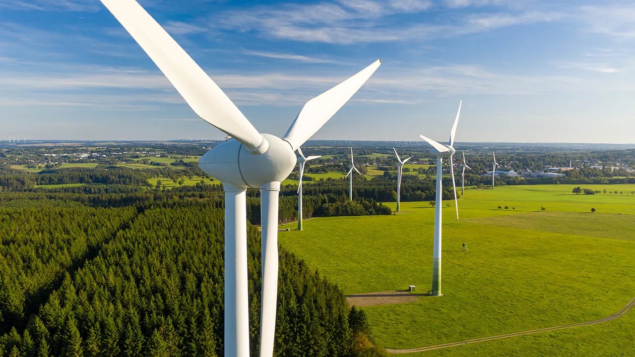 Empresa de energia verde multou milhares de pessoas por matar águias